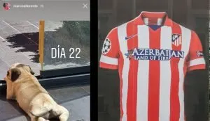 Atletico Madrid’s Marcos Llorente has named his dog ‘Anfield’