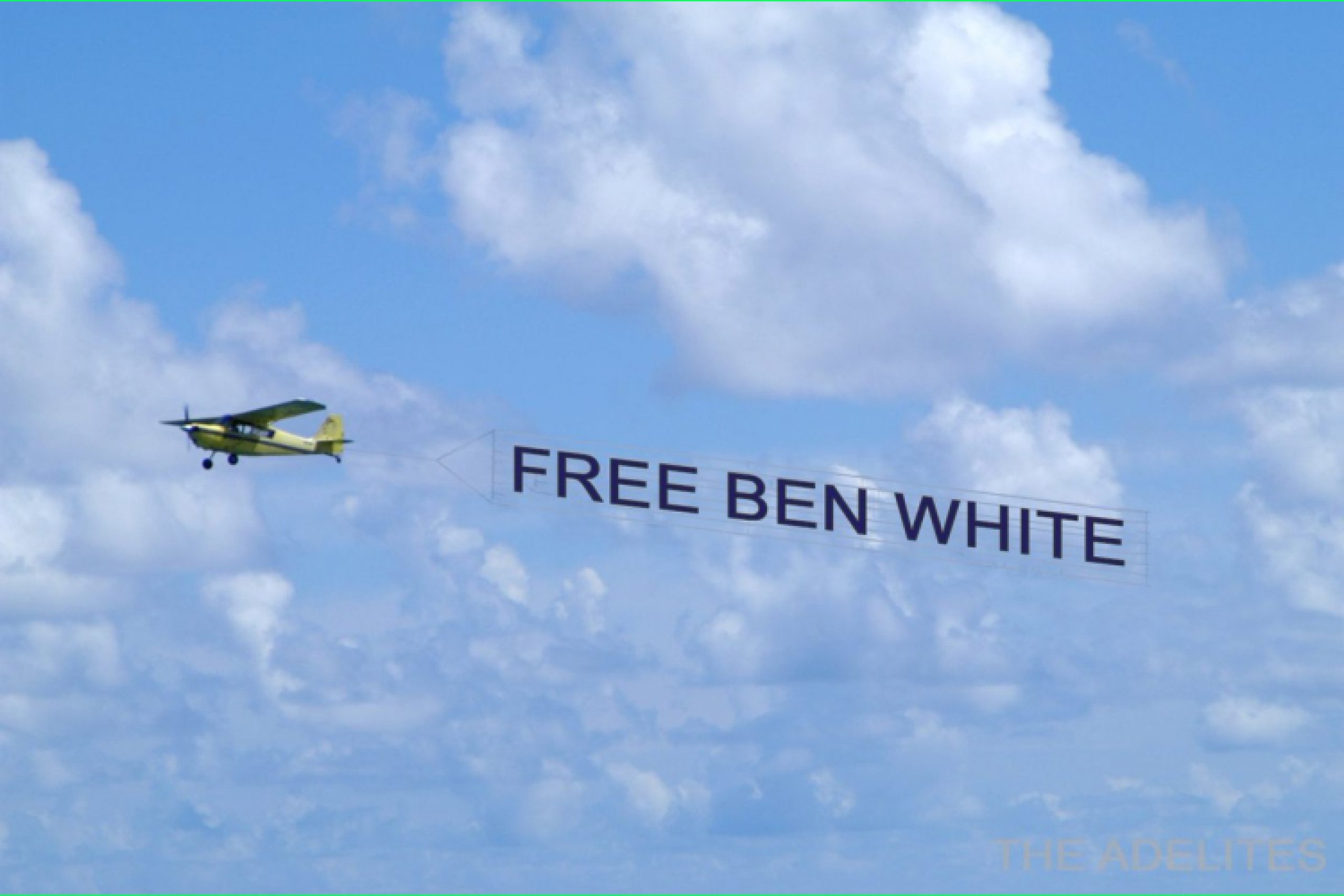 Free Ben White hashtag trends on Twitter