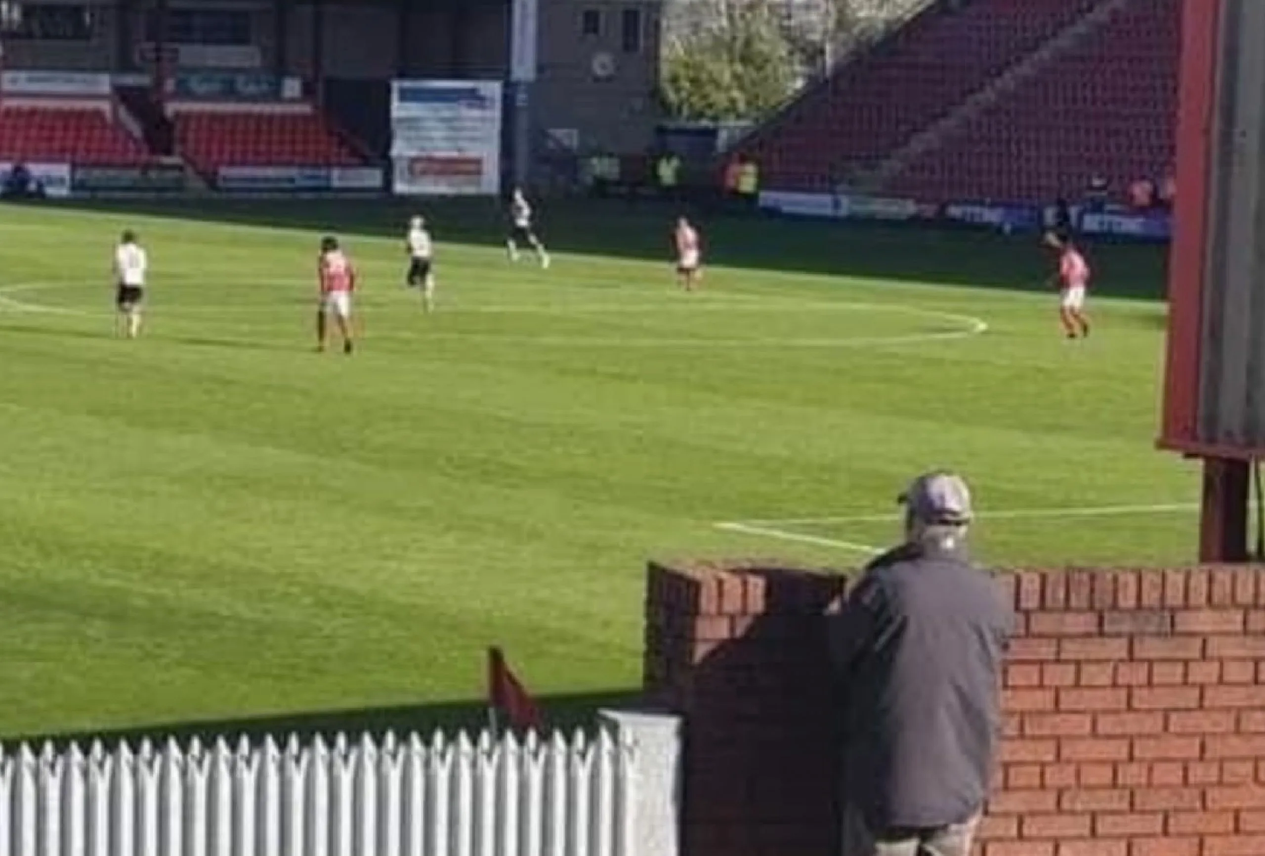 Crewe Alexandra fan watching their game against Charlton Athletic