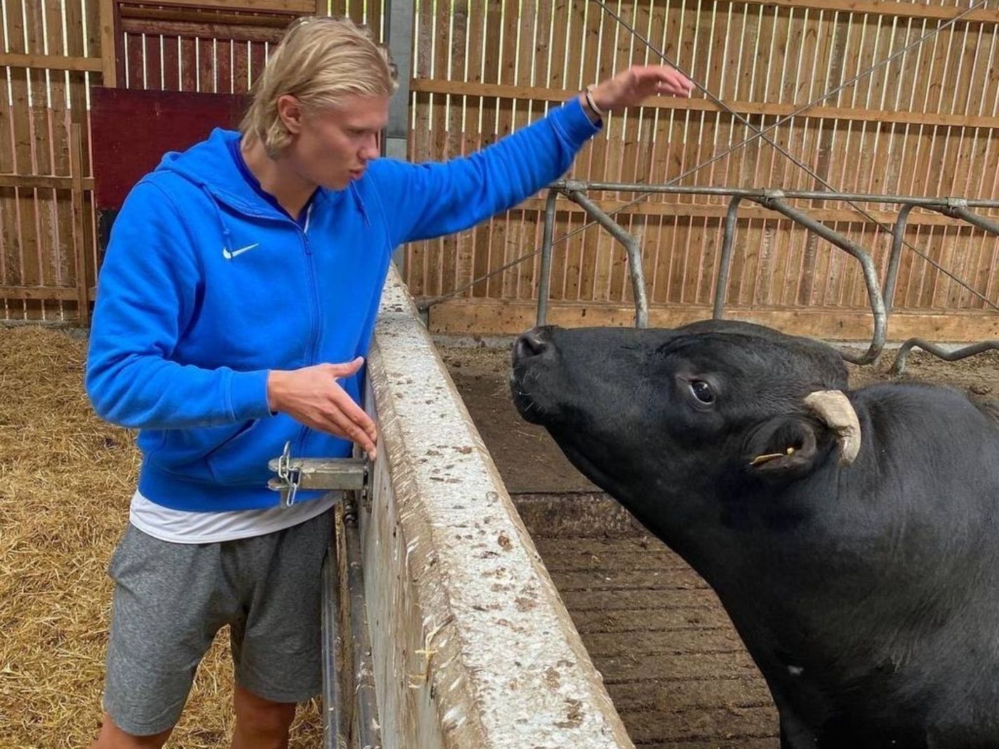 Erling Haaland at his farm during his downtime