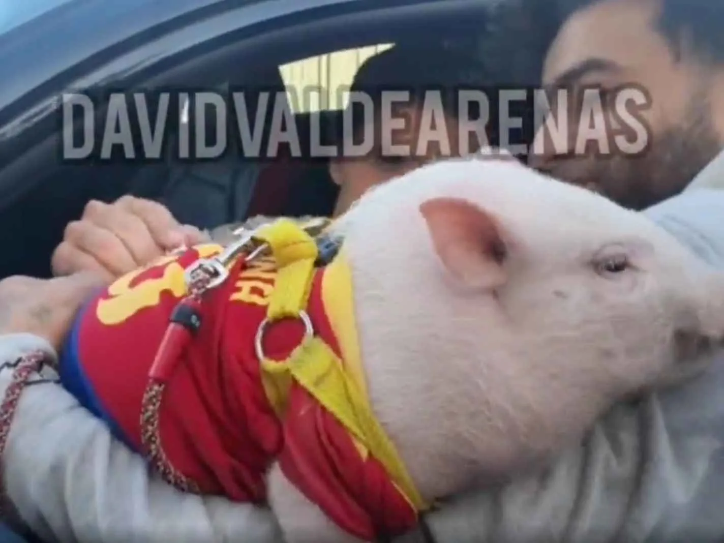 Barcelona’s Riqui Puig signing a pig after training