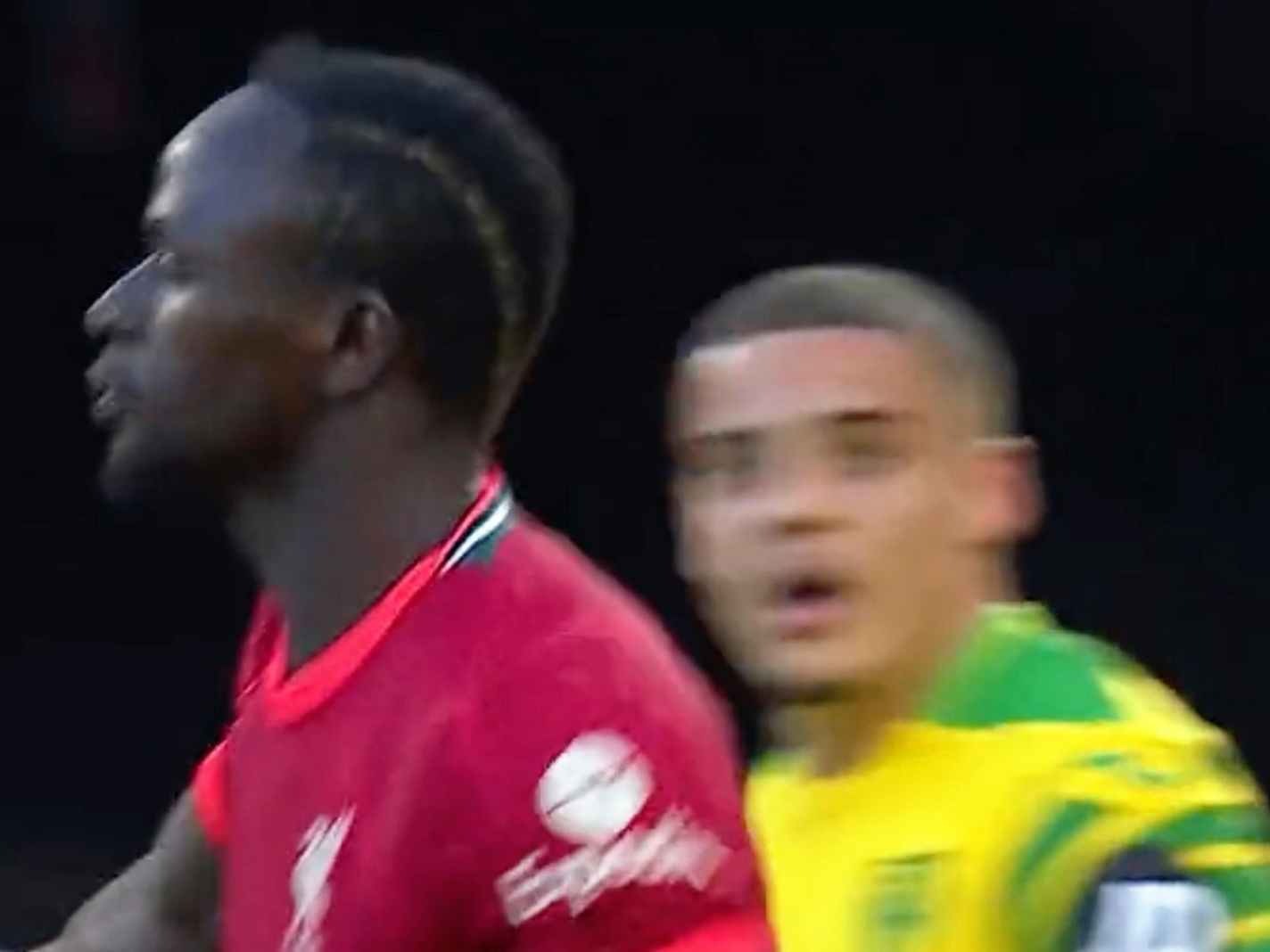 Sadio Mane celebrates against Norwich City
