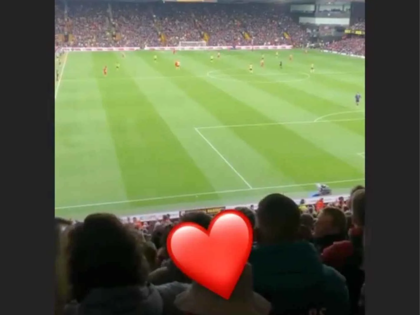 Arsenal fans air modest Ben White chant at Watford - And he loves it