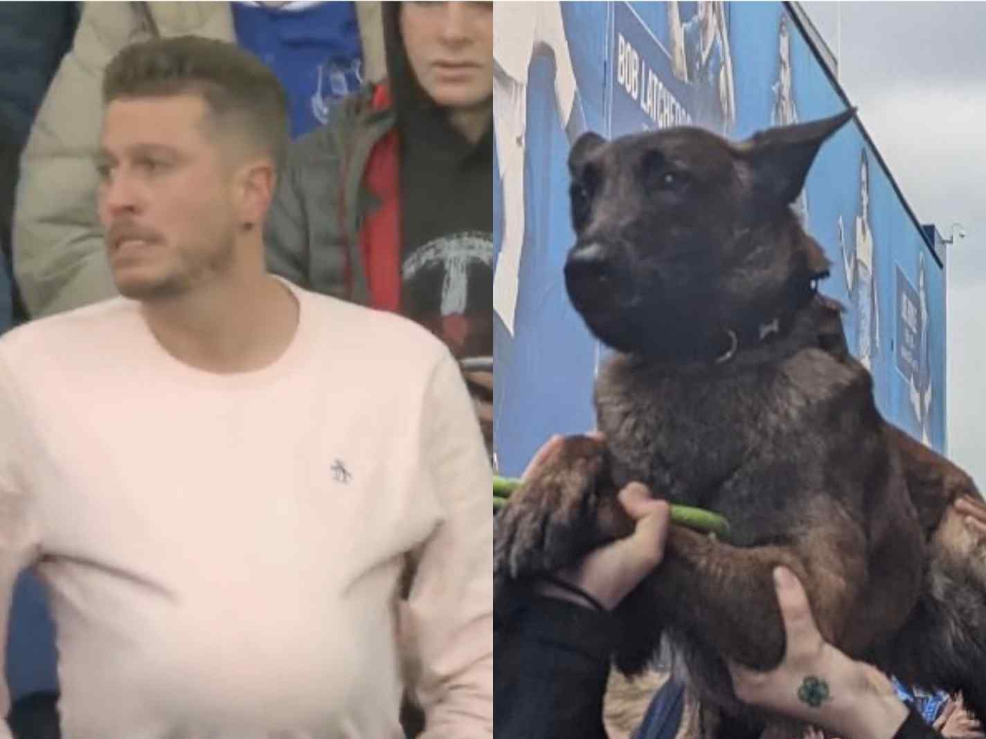 Dog crowd surfs outside while Everton fan hides the ball inside