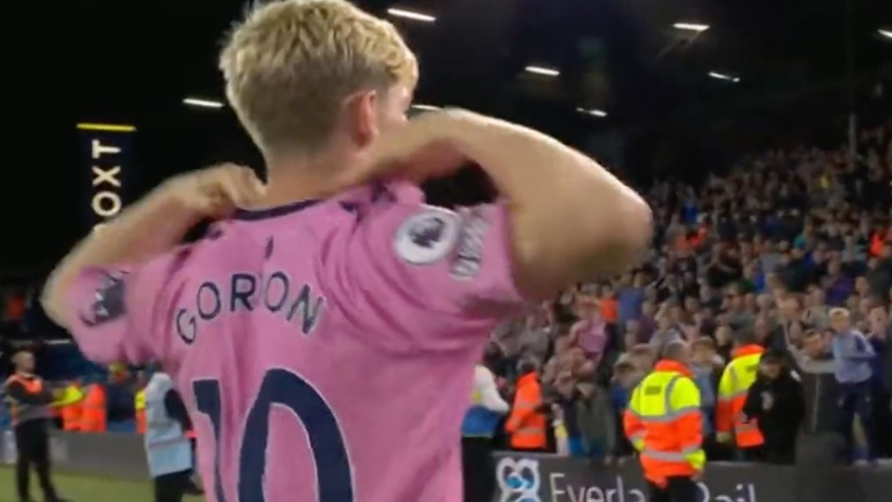 WTAF: Everton Fan Drops Child in Order to Hug Anthony Gordon After Leeds Draw