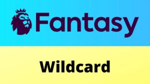 Tips and Tactics To Help You Cope With The Wildcard Season