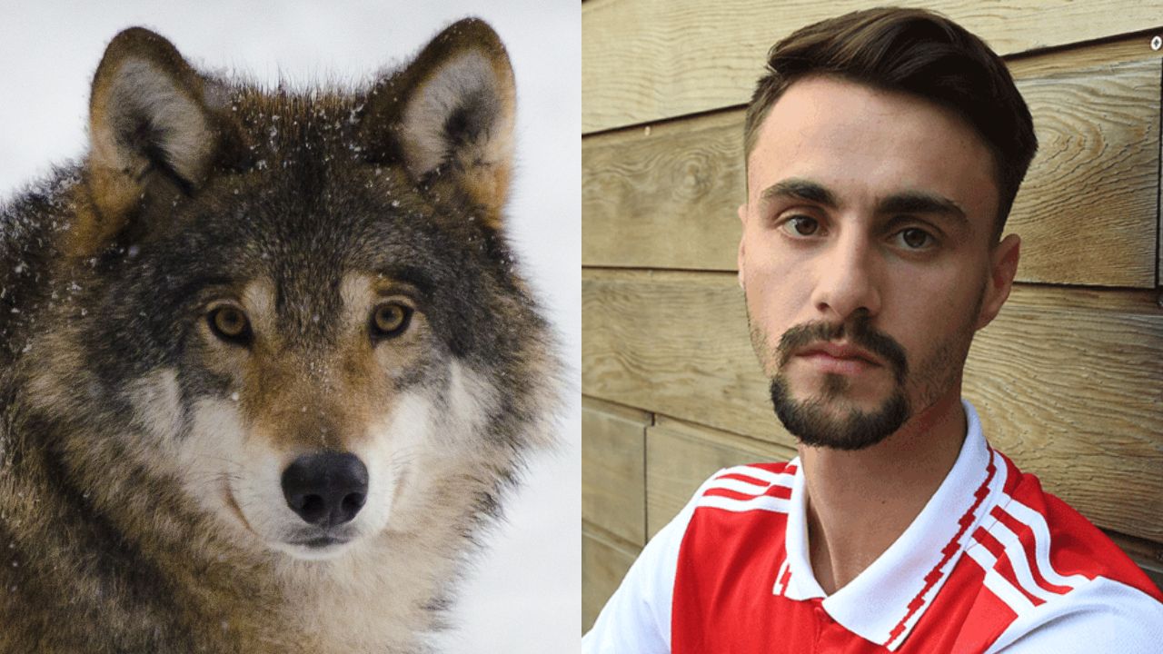 Look: Fabio Vieira Gets New Wolf Pup Tattoo On Left Arm