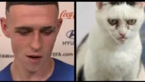 Internet Is Convinced This Cat Looks Like Phil Foden