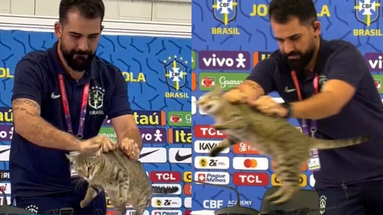 PETA React To Cat Cruelty Incident During Brazil Press Conference