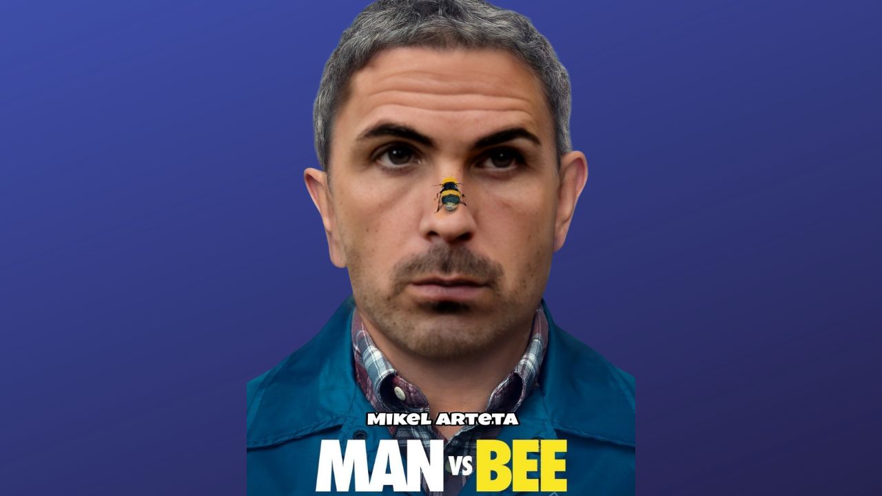 Mikel Arteta vs The Bee: Video edit goes viral after Newcastle draw