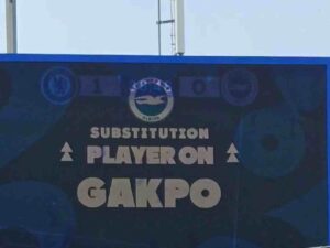 Brighton Expose Stamford Bridge Cody Gakpo Blunder
