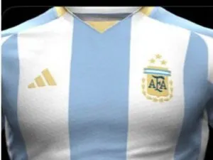 All About The Upcoming Argentina Copa America 2024 Home Kit