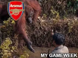 Arsenal FPL meme
