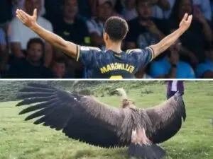 California Condor or Jude Bellingham Fans Spot Hilarious Resemblance