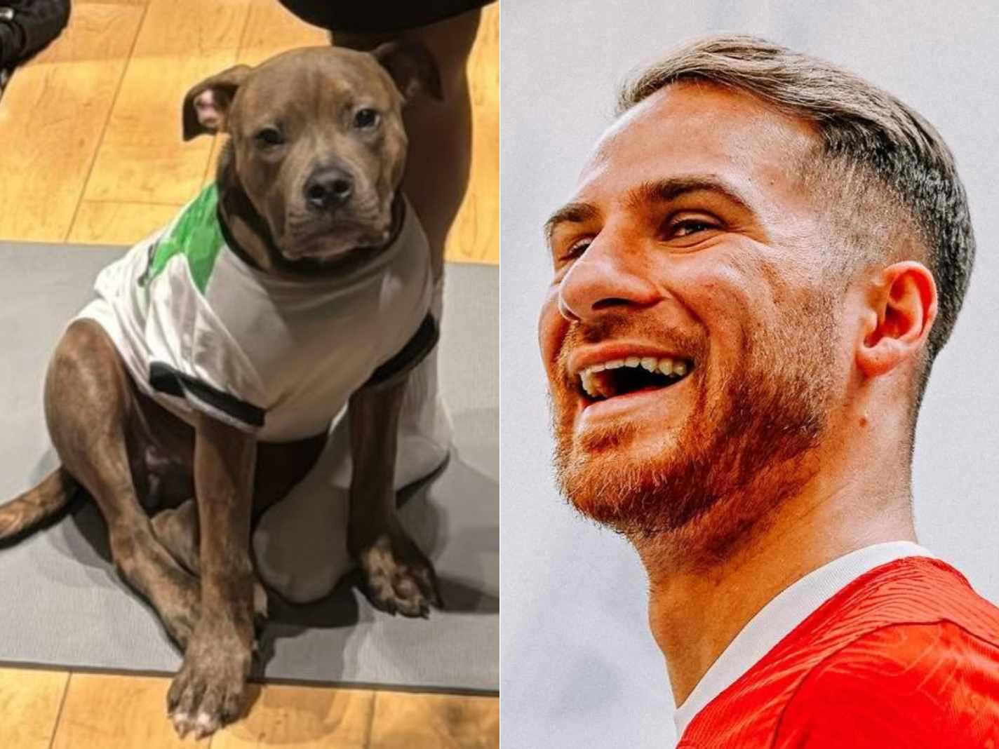 See Alexis Mac Allister Make Fans Melt By Making Pet Dog Wear Full Liverpool Gear